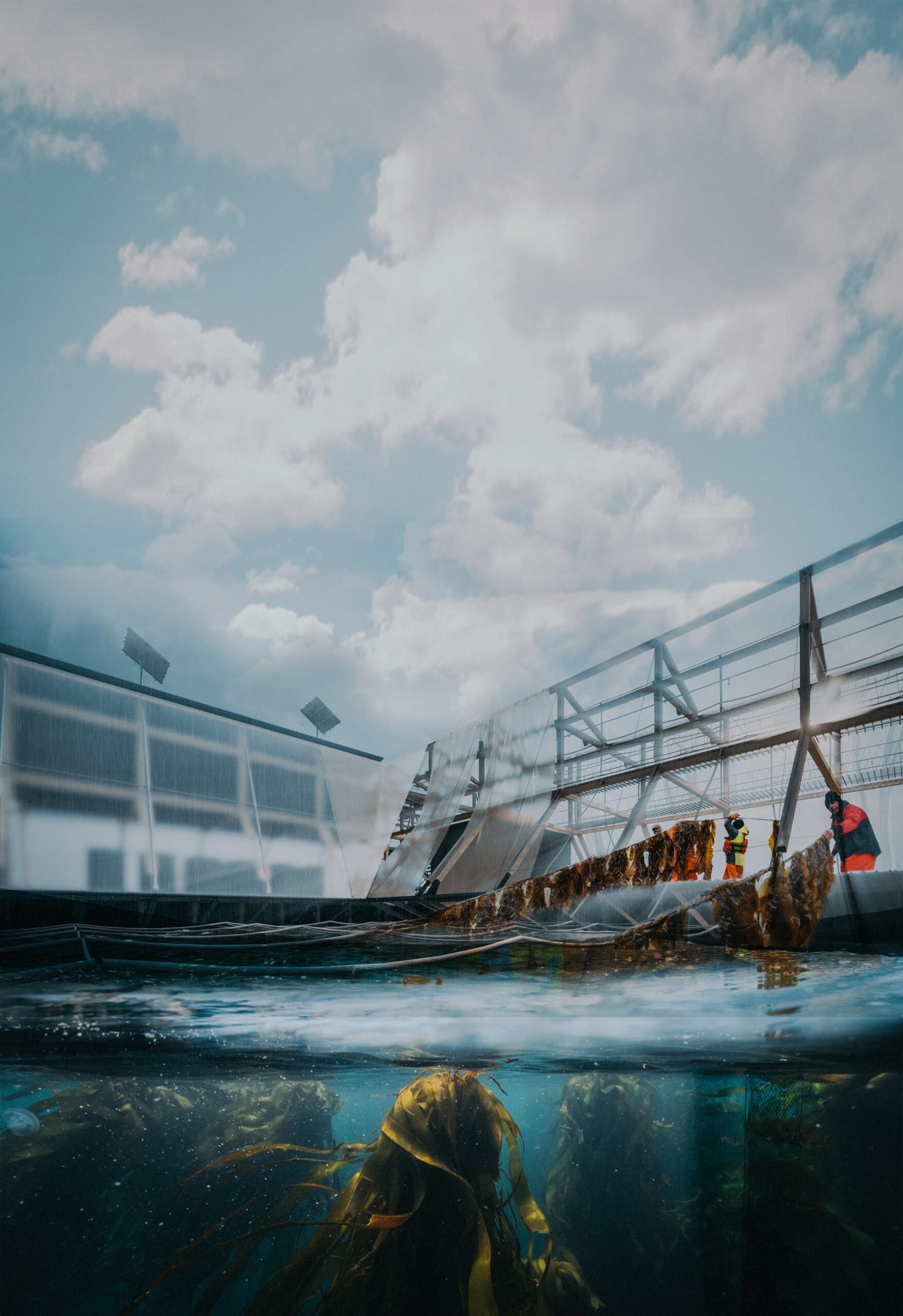 DIS495_Imagen-Principal