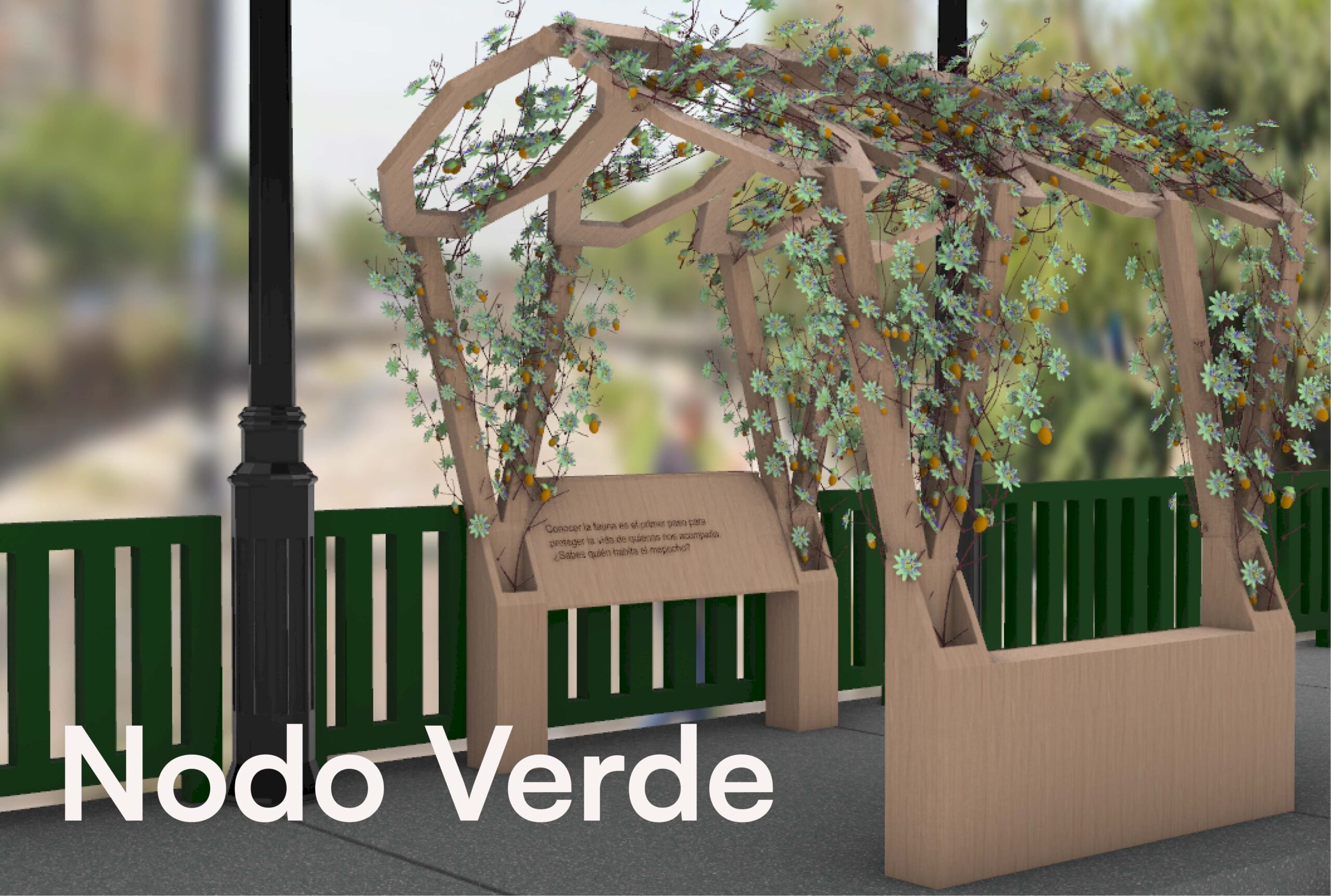 Nodo_Verde