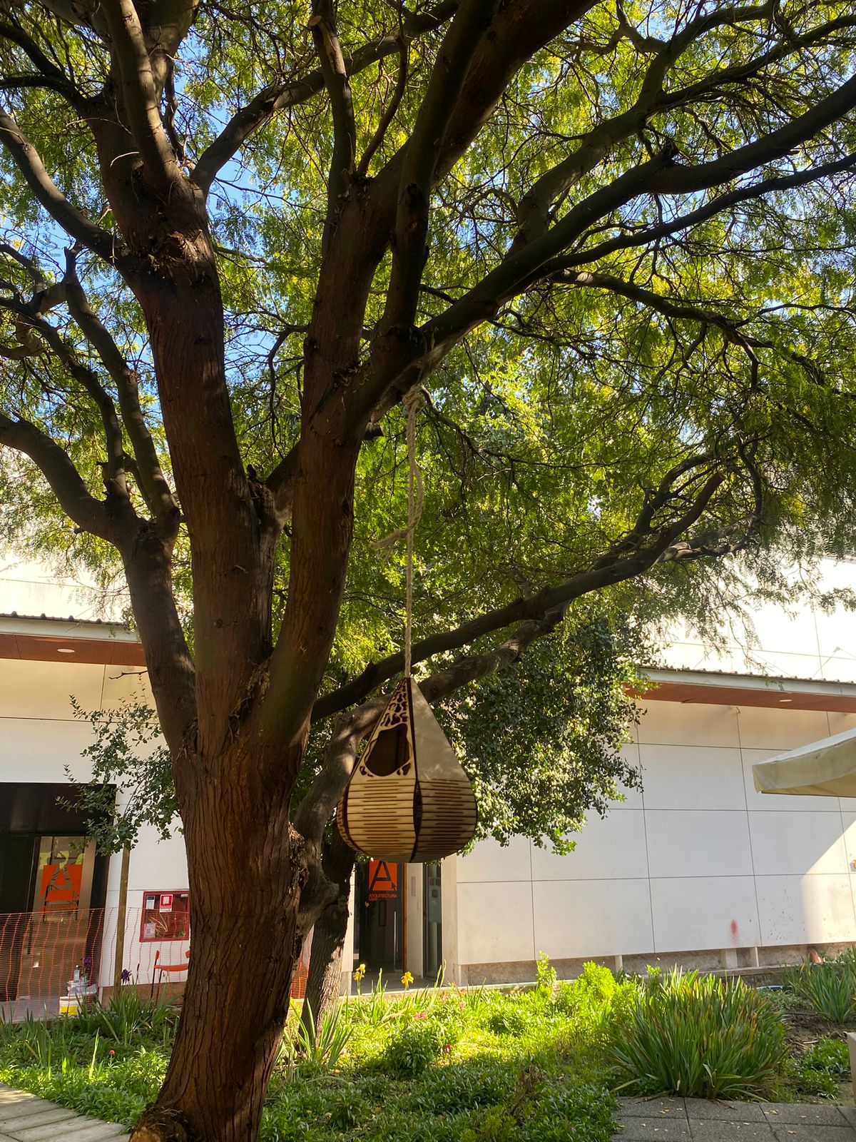 WhatsApp-Image-2025-07-07-at-21.43.20