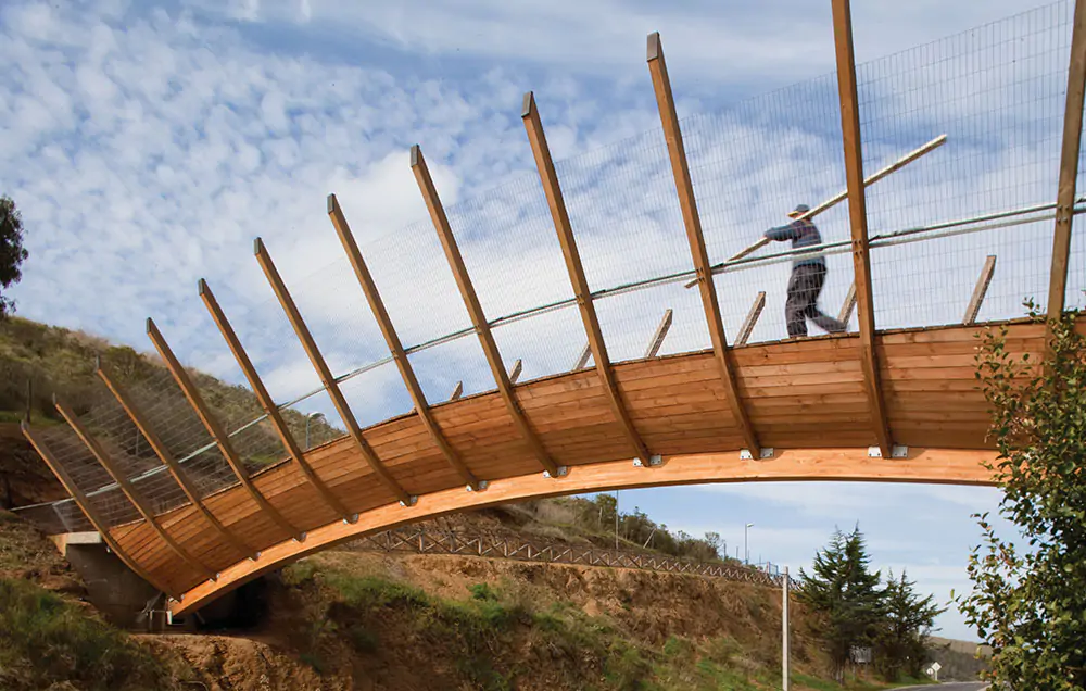Puente Peatonal en Zapallar - Madera21