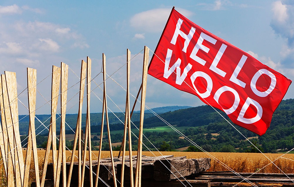 Noticia_HelloWood-3