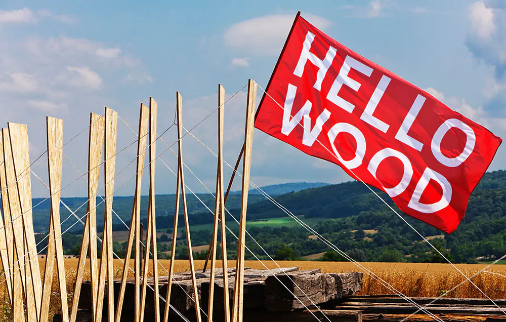 Noticia_HelloWood-3