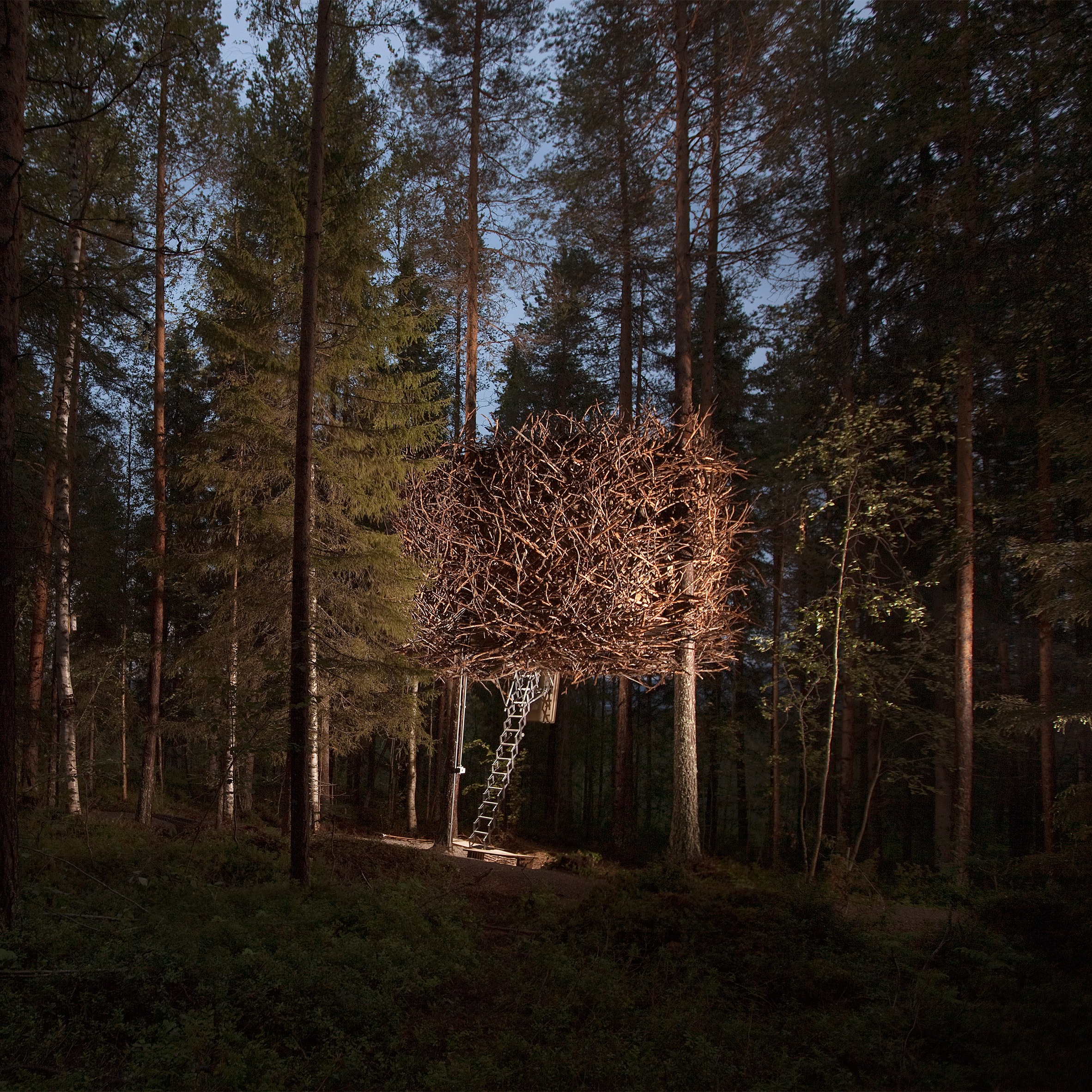 Reportaje_TreeHotel1