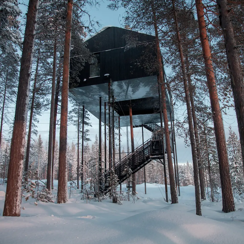 Reportaje_TreeHotel_2