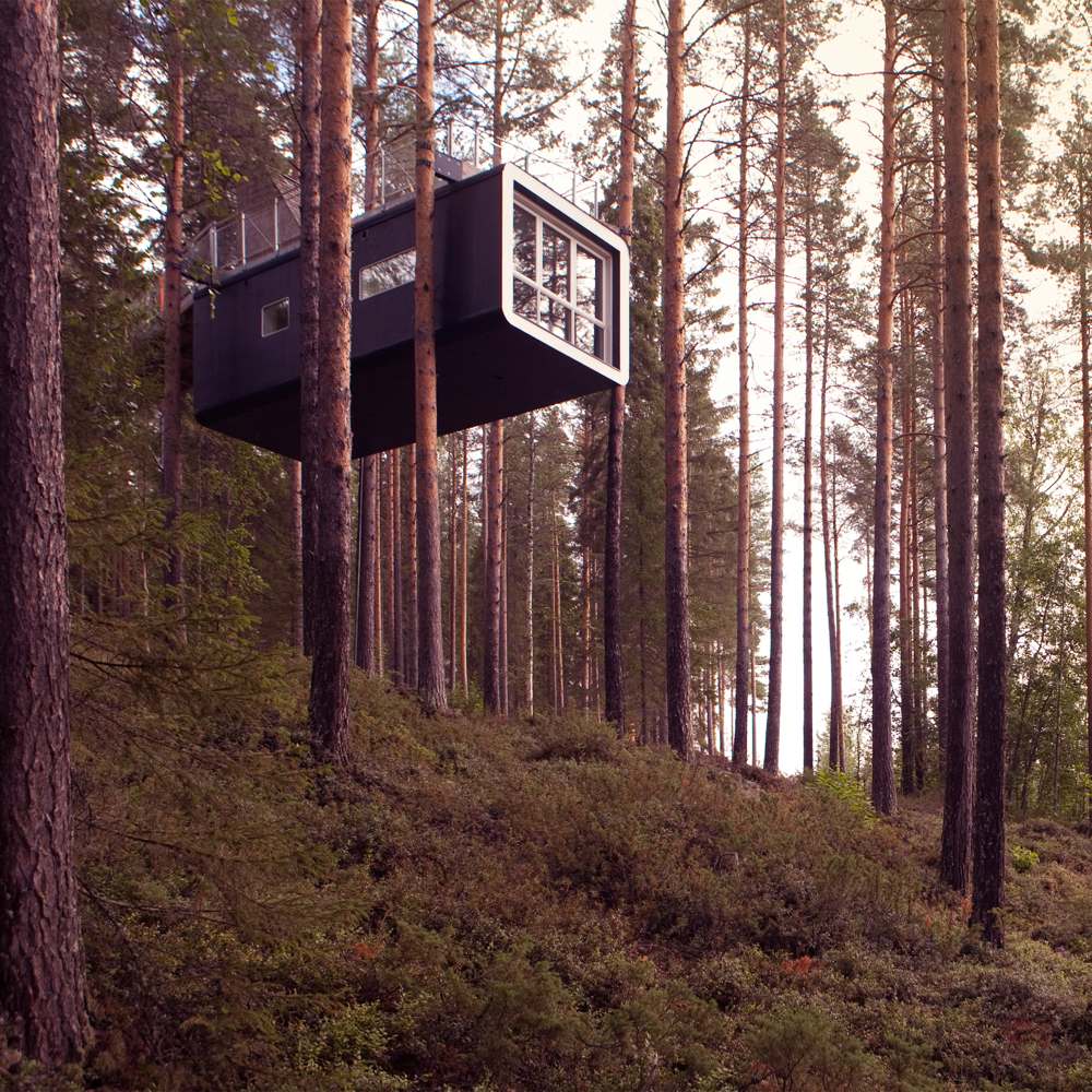 Reportaje_TreeHotel_5
