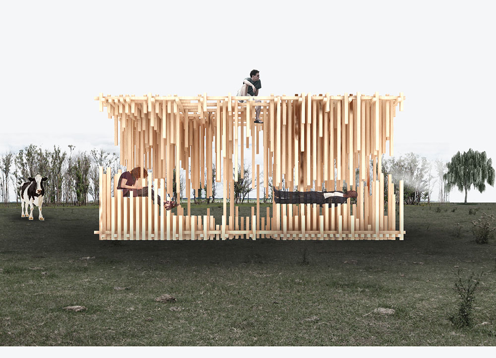 Noticia-Hello-Wood-10