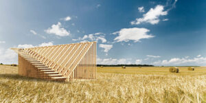 Noticia-Hello-Wood-8