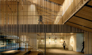 Cultural-Crossing-2
