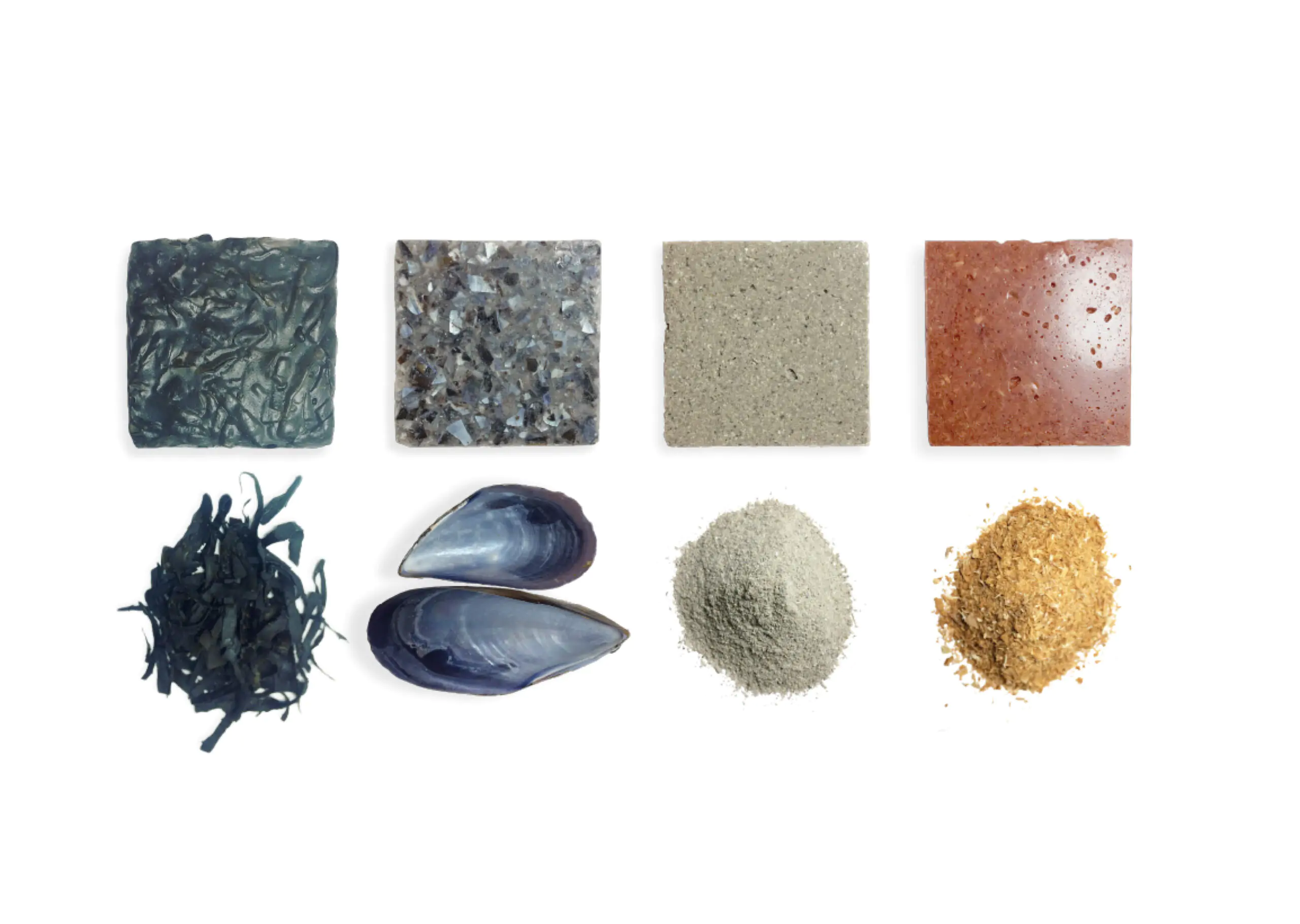 La investigación Bio-Based Materials plantea un plan de fabricación de productos con biomateriales - Madera21