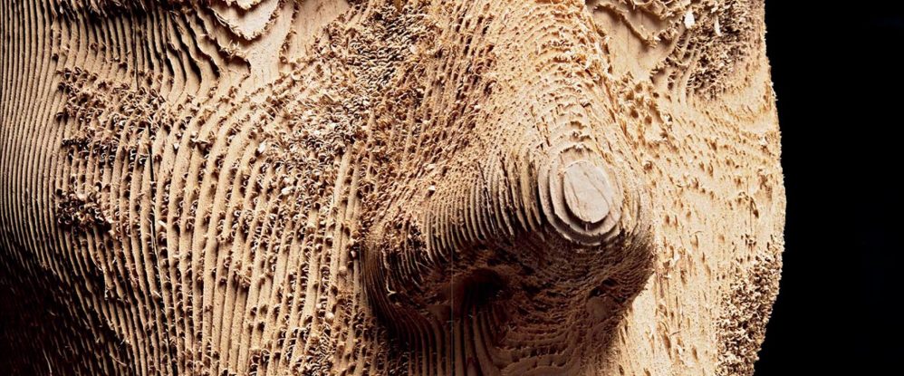 artistas tallado madera