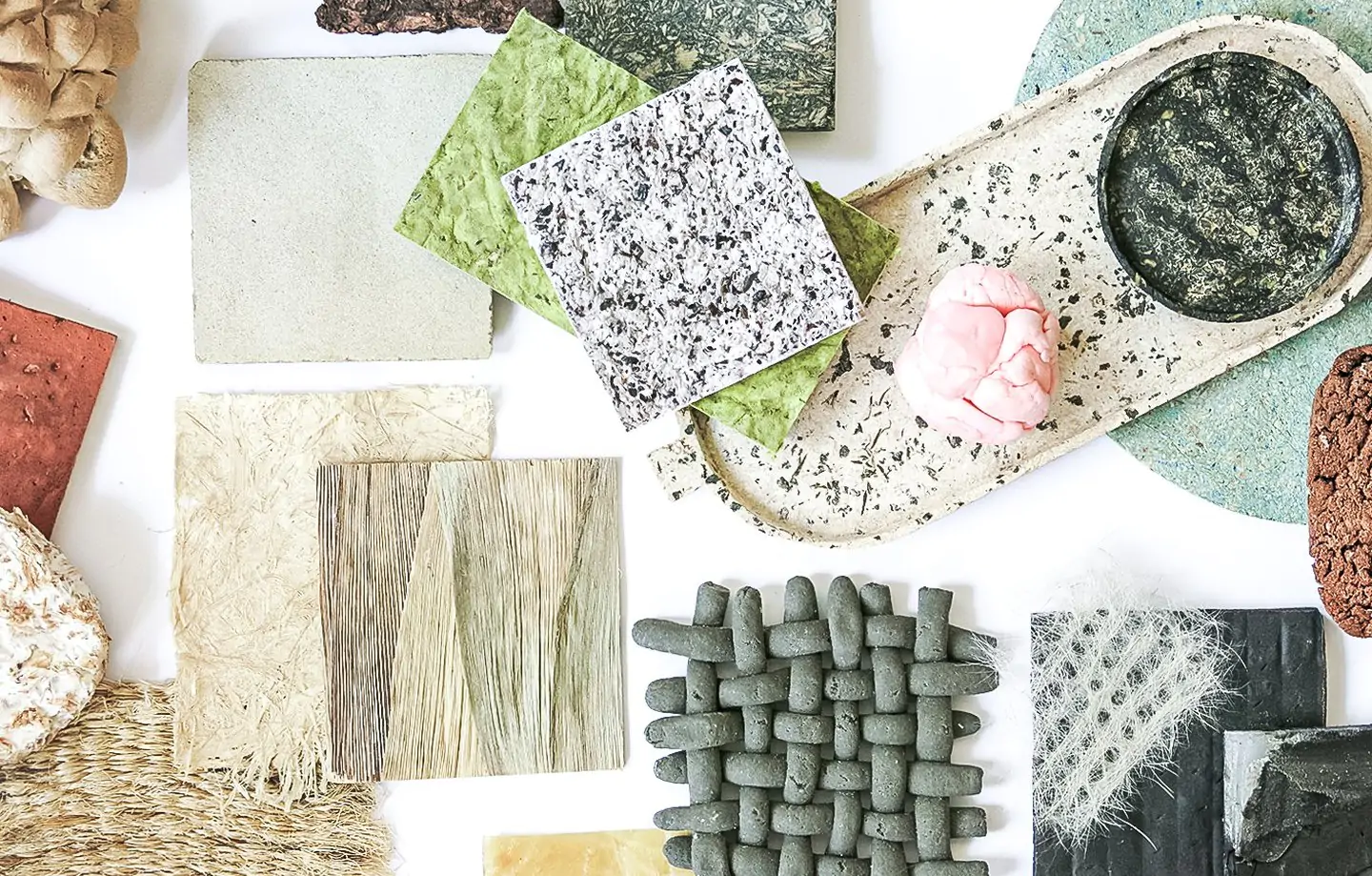 Los materiales biobasados liderarán la transición sostenible hacia una economía circular - Madera21