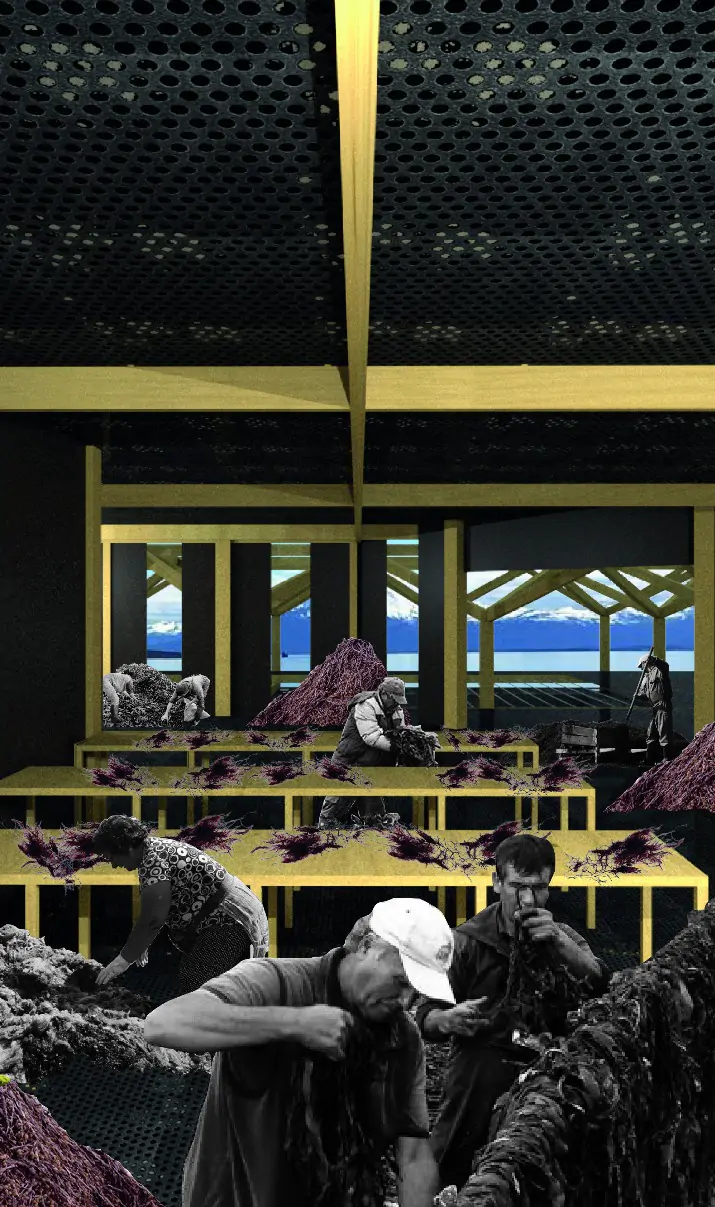 lamina 3.3_page-0001
