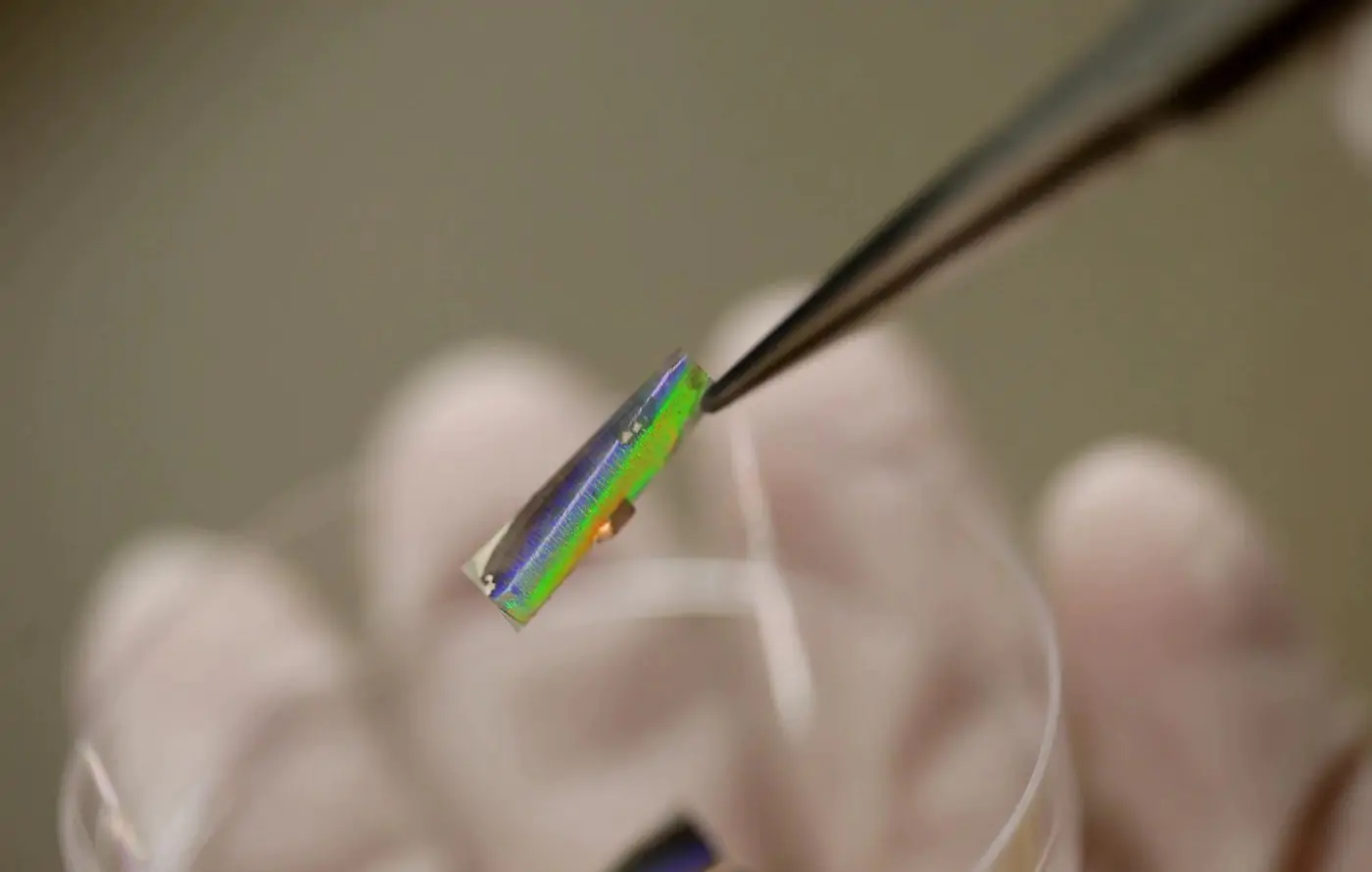 Investigación utiliza propiedades porosas de la madera para brindar más fortaleza y liviandad al acero - Madera21