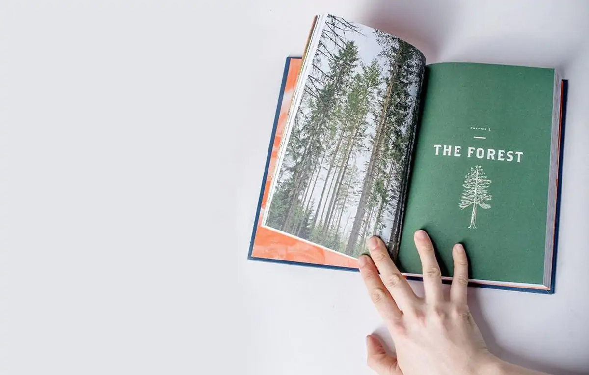 Una década de El Libro de la Madera y del recorrido de Lars Mytting por los bosques noruegos - Madera21