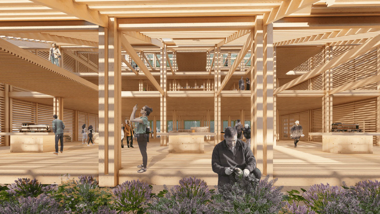IMG-01-ARQ2676-1536x864