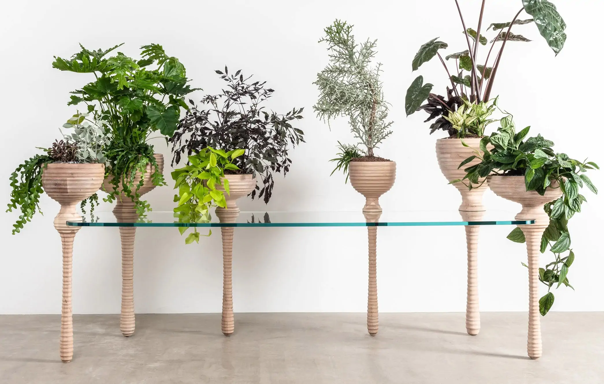 Con madera de arce, estudio inglés elabora jardineras modulares para promover el bienestar emocional en los ambientes - Madera21