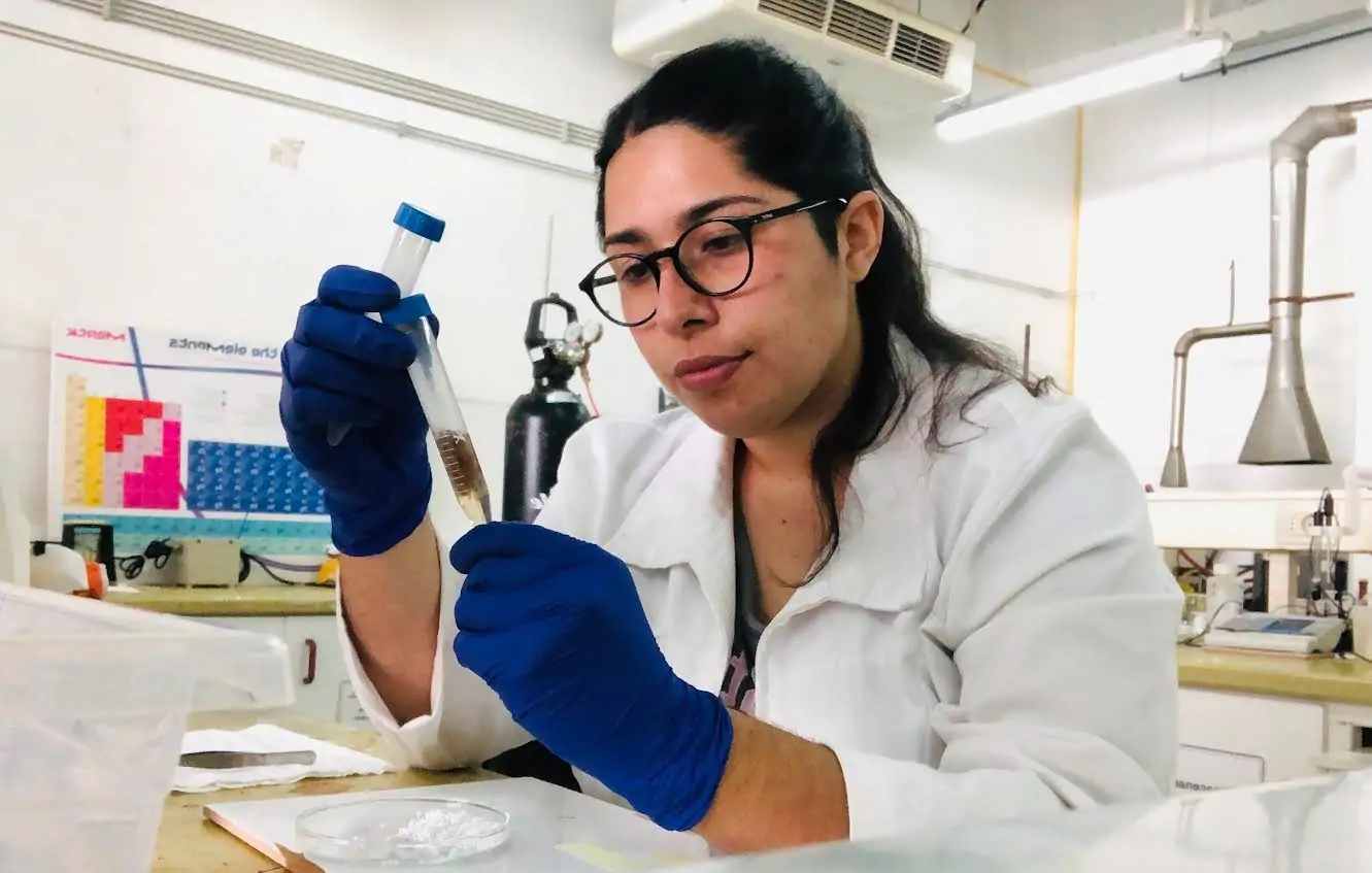 Investigadora chilena ocupa corteza de pino para desarrollar un biomaterial absorbente y capaz de reemplazar al plástico - Madera21