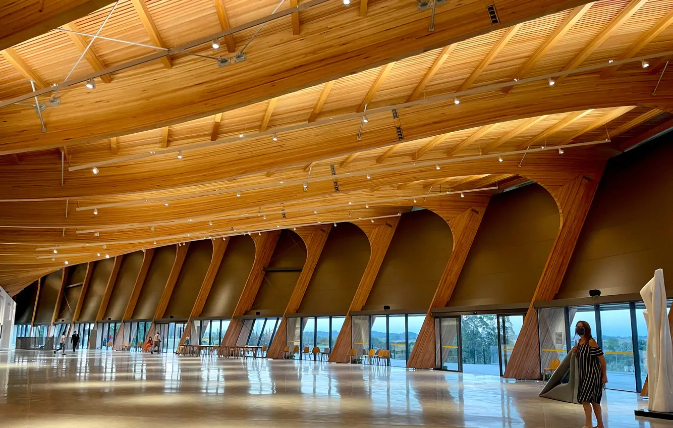Museo MACA asombra por su carácter escultórico ligado a la tecnología en madera laminada - Madera21
