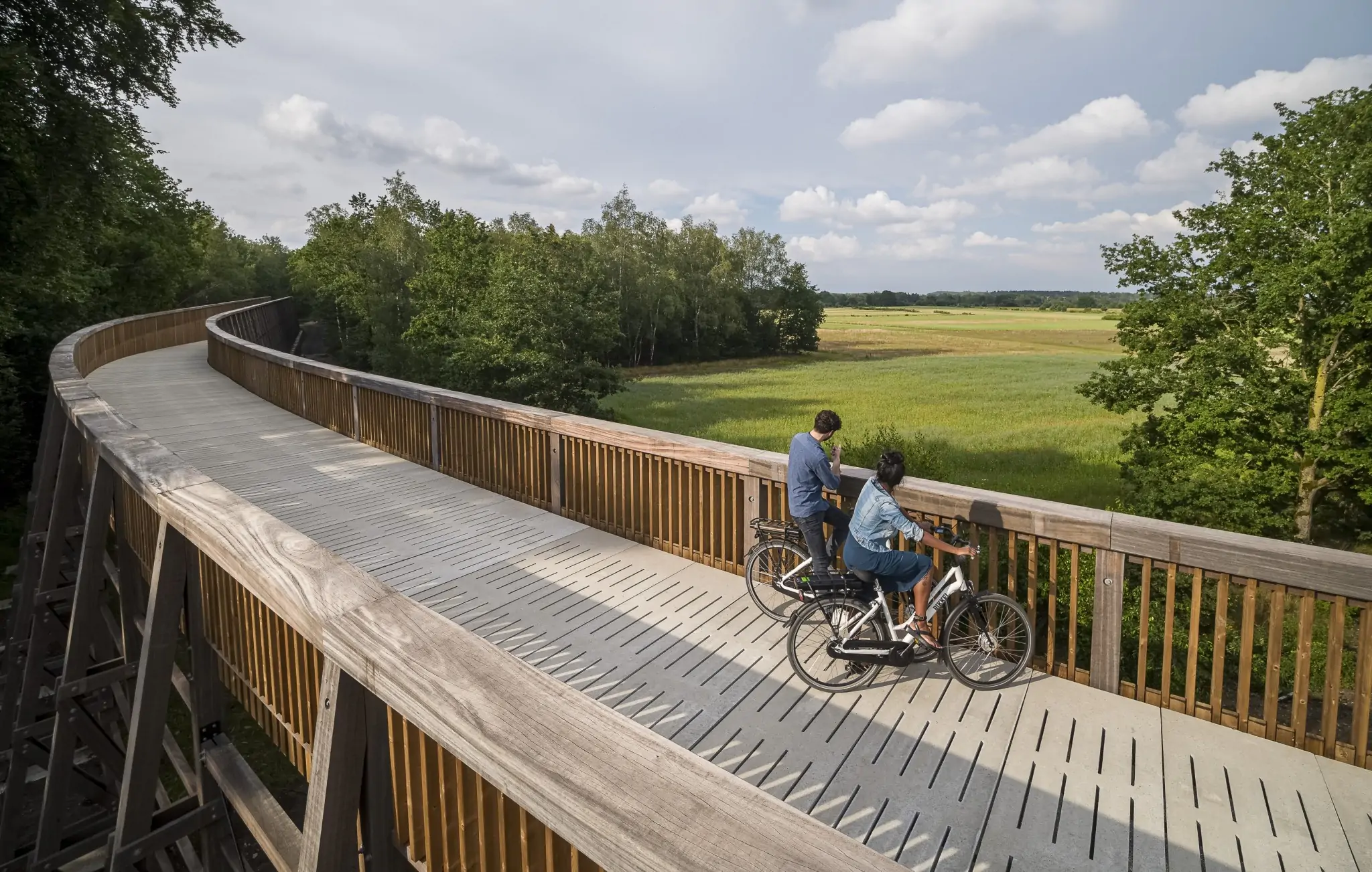 Puente ciclístico de 300 metros de largo fue construido con madera en Bélgica - Madera21