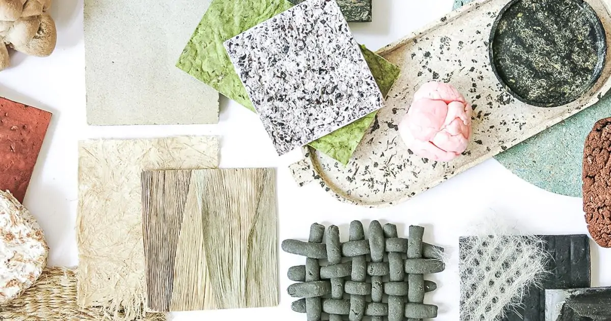 Bioproductos a base de madera ganan terreno en la búsqueda de un futuro sostenible - Madera21