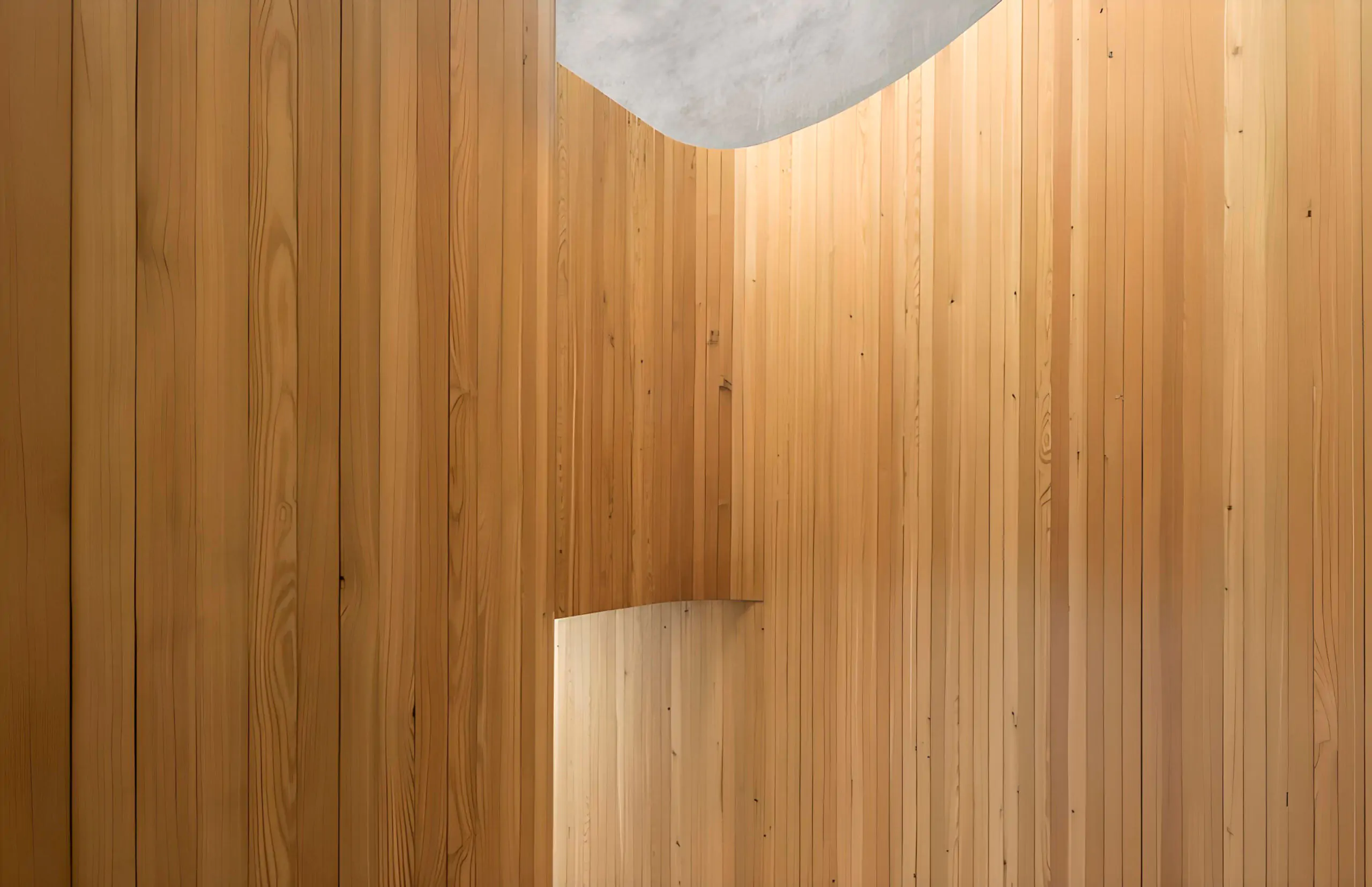 Las cinco noticias más leídas de Madera21 que fueron tendencia este 2023 - Madera21