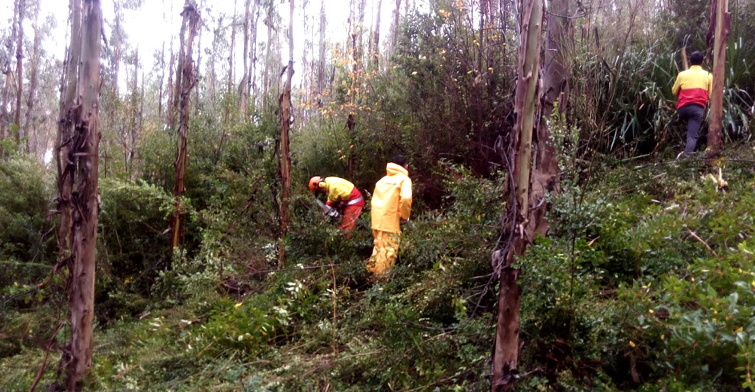 L-caranilahue-slide3