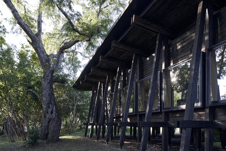 01.-CP-HPA-CasaConPatio-0532