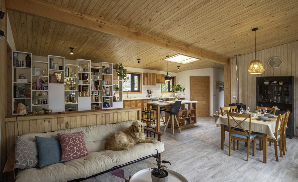 09 Nala Interior Living Habitada