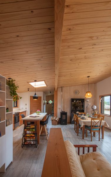 14 Nala Interior Centro