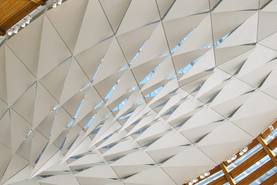 15_blaustein-ccl-2737