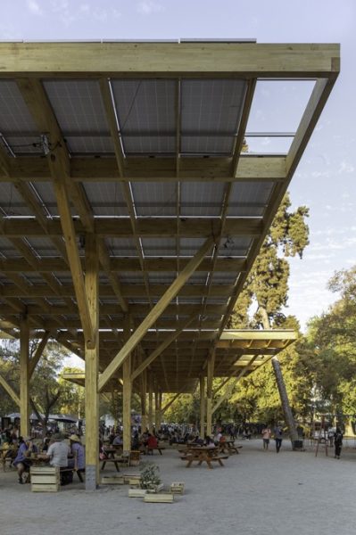 1a. ARBOLES SOLARES 3