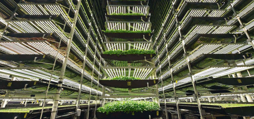 20191121_STP005_3570