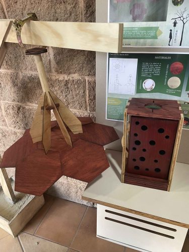 20250714_164441403_iOS_1_11zon