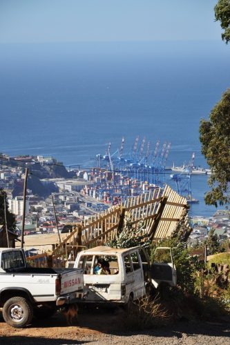 5_DINO-JUEGO_-JUEGO-Y-BAHIA