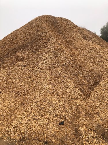 964ab279-41c7-4449-881c-d1e74f2e6e16