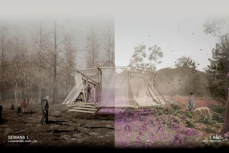 ANILLO-REGENERADOR-IMG-POSTULACION