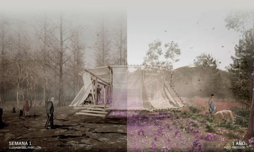 ANILLO-REGENERADOR-IMG-POSTULACION