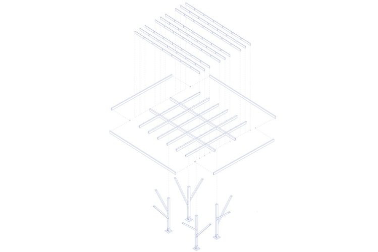 AXO ARB SOLARES 3