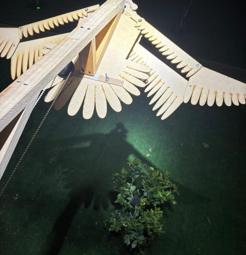 Alas-de-la-ciudad-DIS354-Foto-1