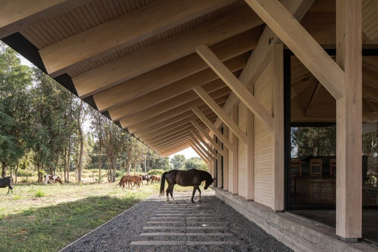 CA_ALE_UR_SOL_136_edit