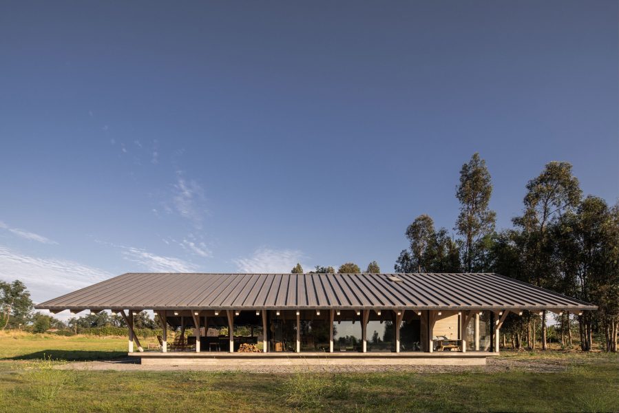 CA_ALE_UR_SOL_235_EditBAJA