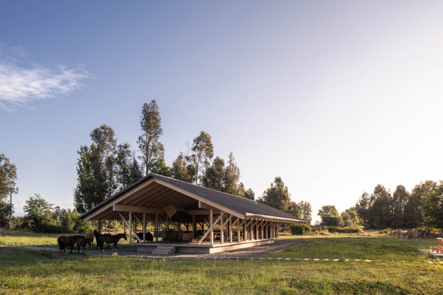 CA_ALE_UR_SOL_258_edit