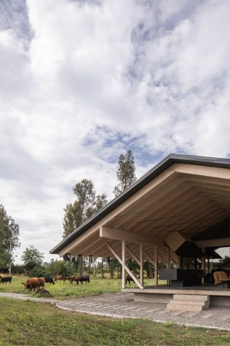 CA_ALE_UR_SOL_45_edit