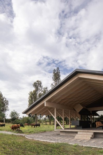 CA_ALE_UR_SOL_45_edit