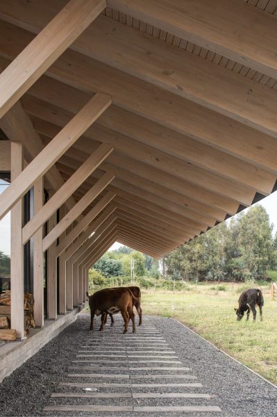 CA_ALE_UR_SOL_54_edit