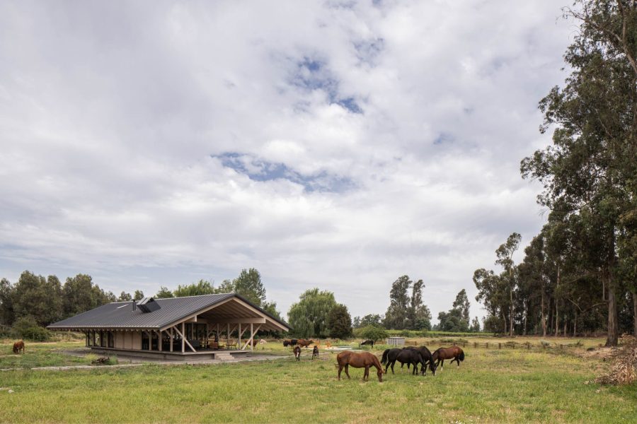 CA_ALE_UR_SOL_69_edit