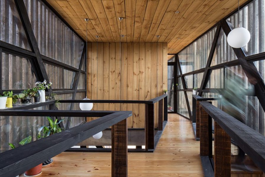 CA_SIM_BOL_P_DIK_611-1000x667