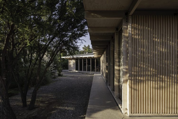 CA_TRI_M_F_134-scaled