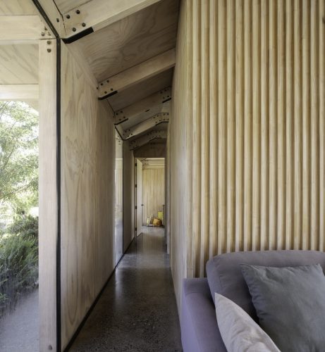 CA_TRI_M_F_53-scaled