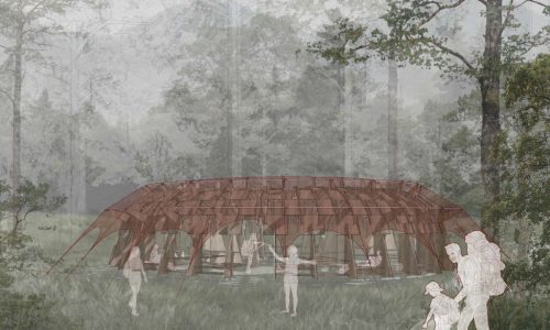 CORAZAS-ERRANTES-IMAGEN